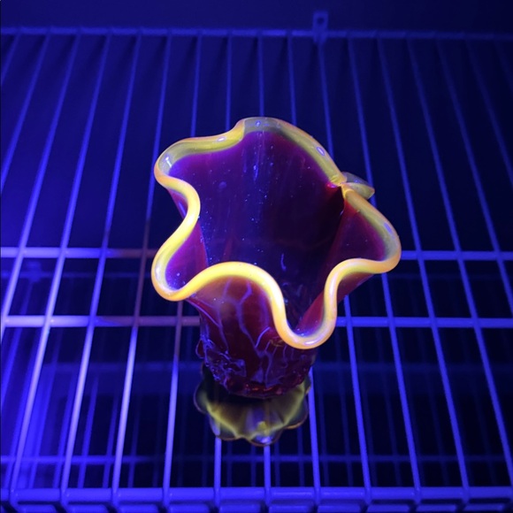 Vintage Fento Amberina  Glows Glass Vase Ruffle Edge Glows Pedestal Base Roses - Picture 10 of 10